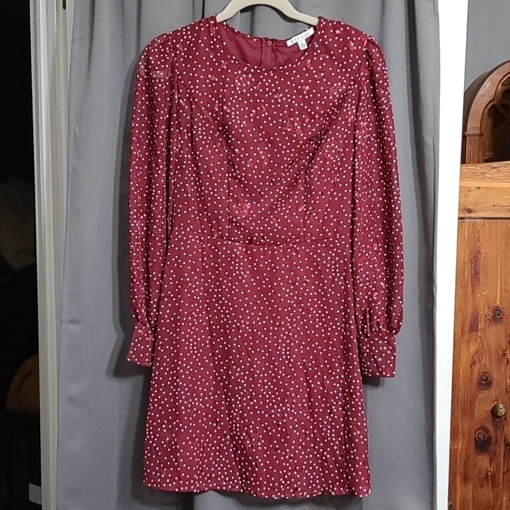 City Vibe NWT sheer embroidered dress‎ size 3